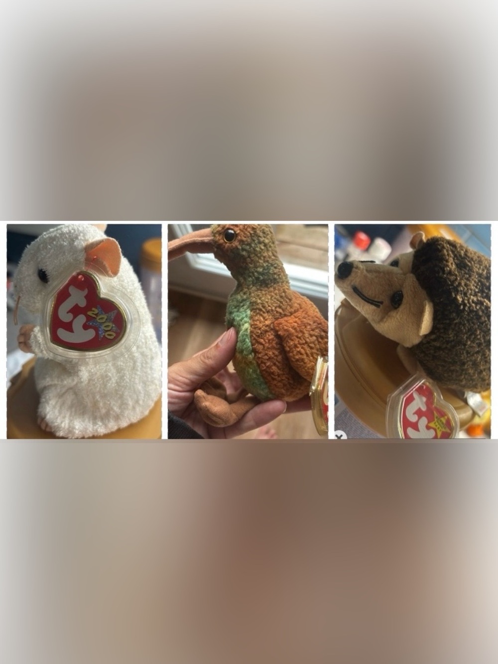 Ty beanie babies swoop is sold !! 4 only